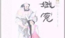 窦娥冤 电视剧,悲情女子与冤案传奇的悲歌